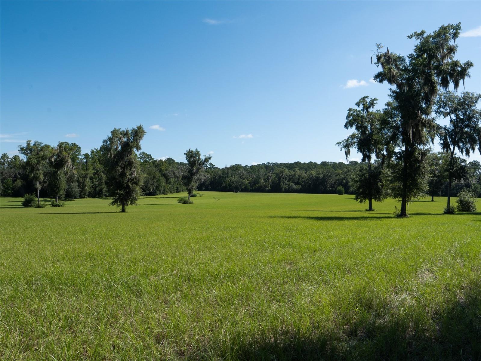 TBD NW 72ND CT, OCALA, FL — photo 4