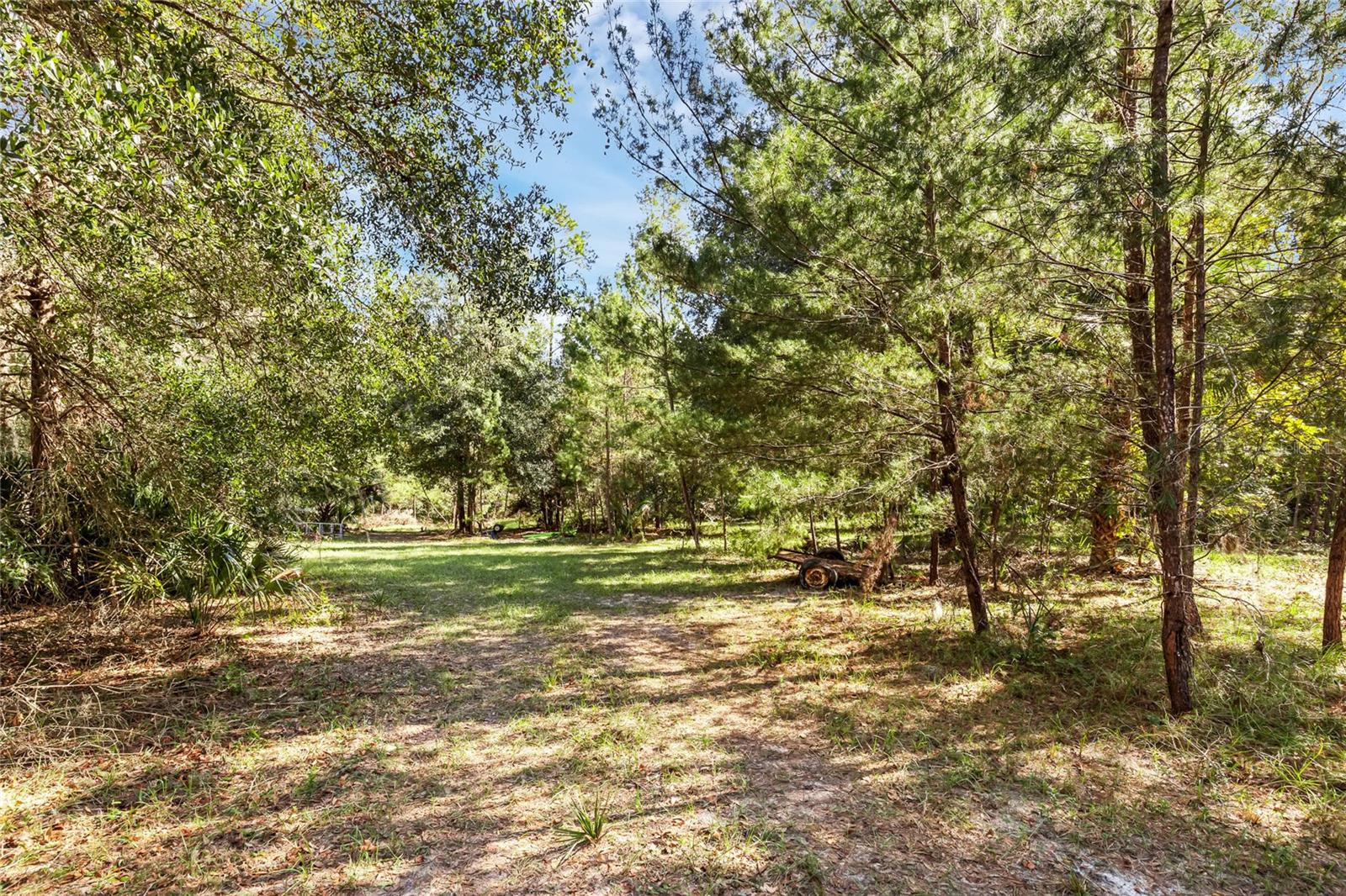 BRONSON RD, SORRENTO, FL — photo 10