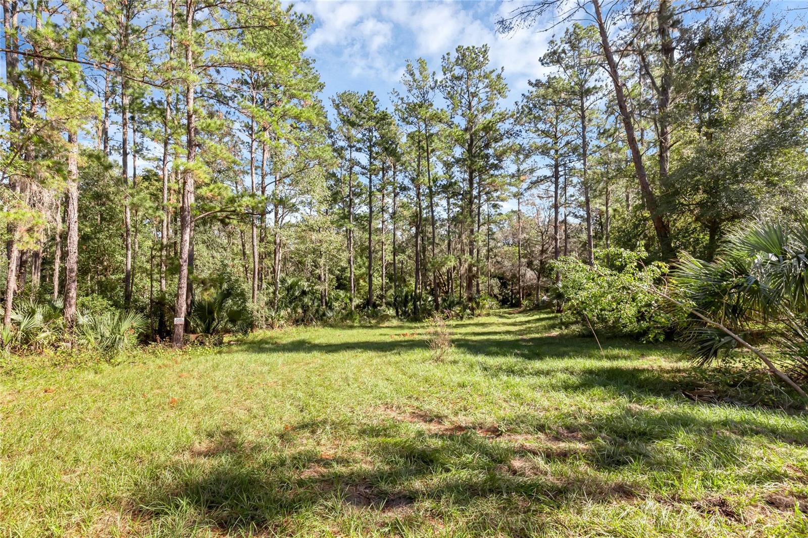 BRONSON RD, SORRENTO, FL — photo 31