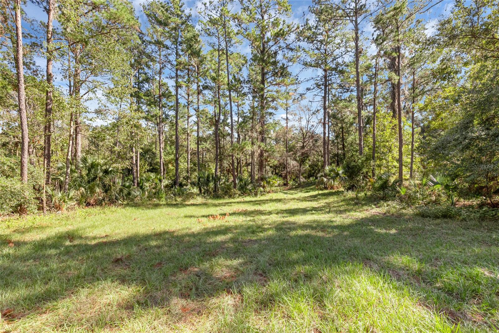 BRONSON RD, SORRENTO, FL — photo 8
