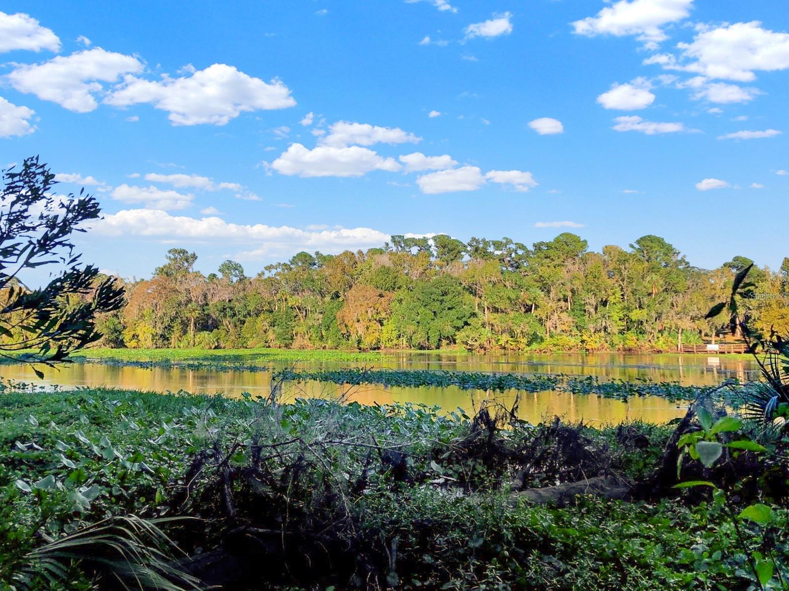 BRONSON RD, SORRENTO, FL — photo 5