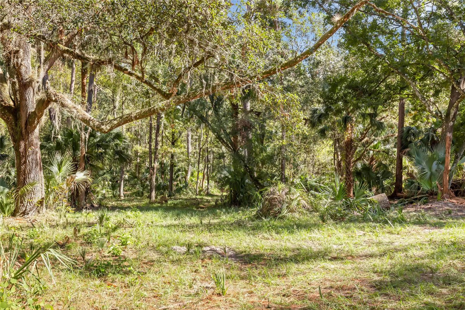 BRONSON RD, SORRENTO, FL — photo 24