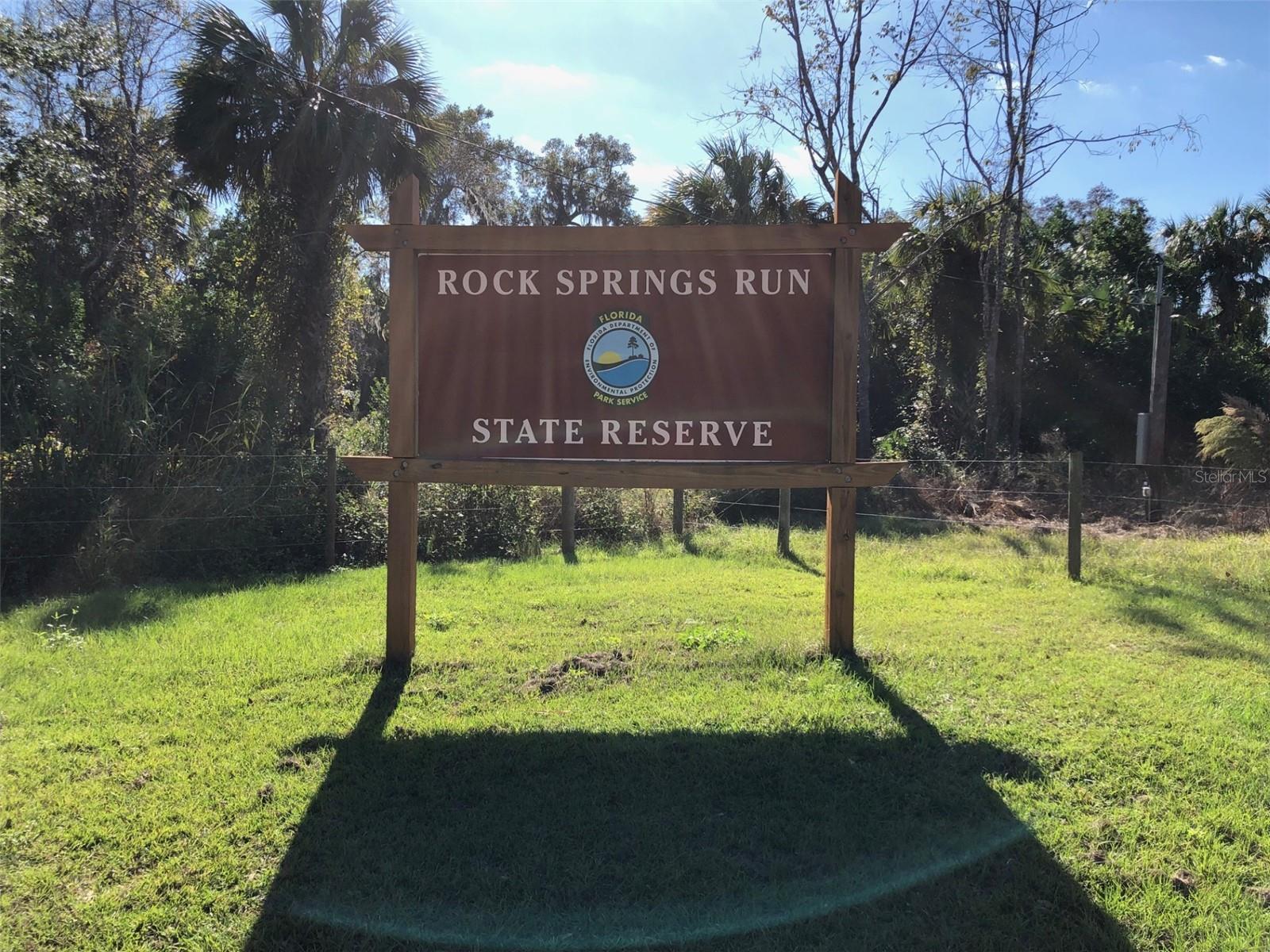 BRONSON RD, SORRENTO, FL — photo 34
