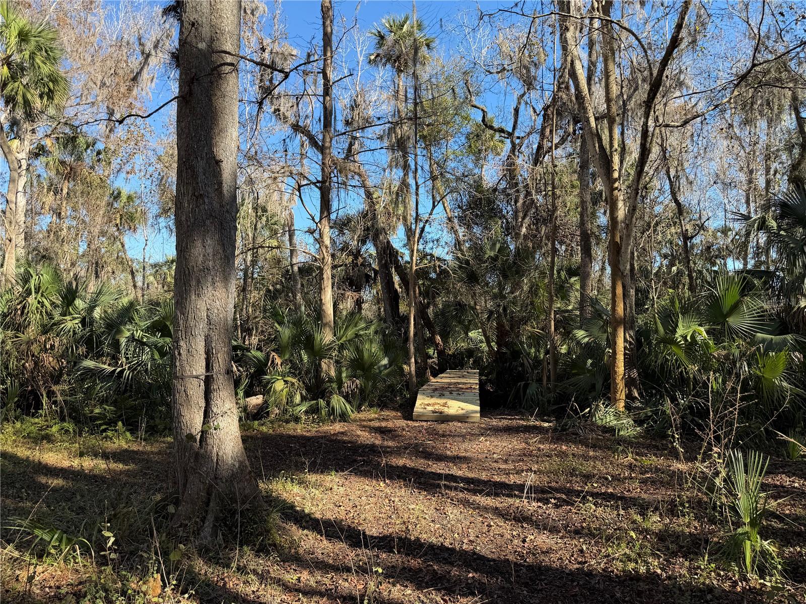 BRONSON RD, SORRENTO, FL — photo 20