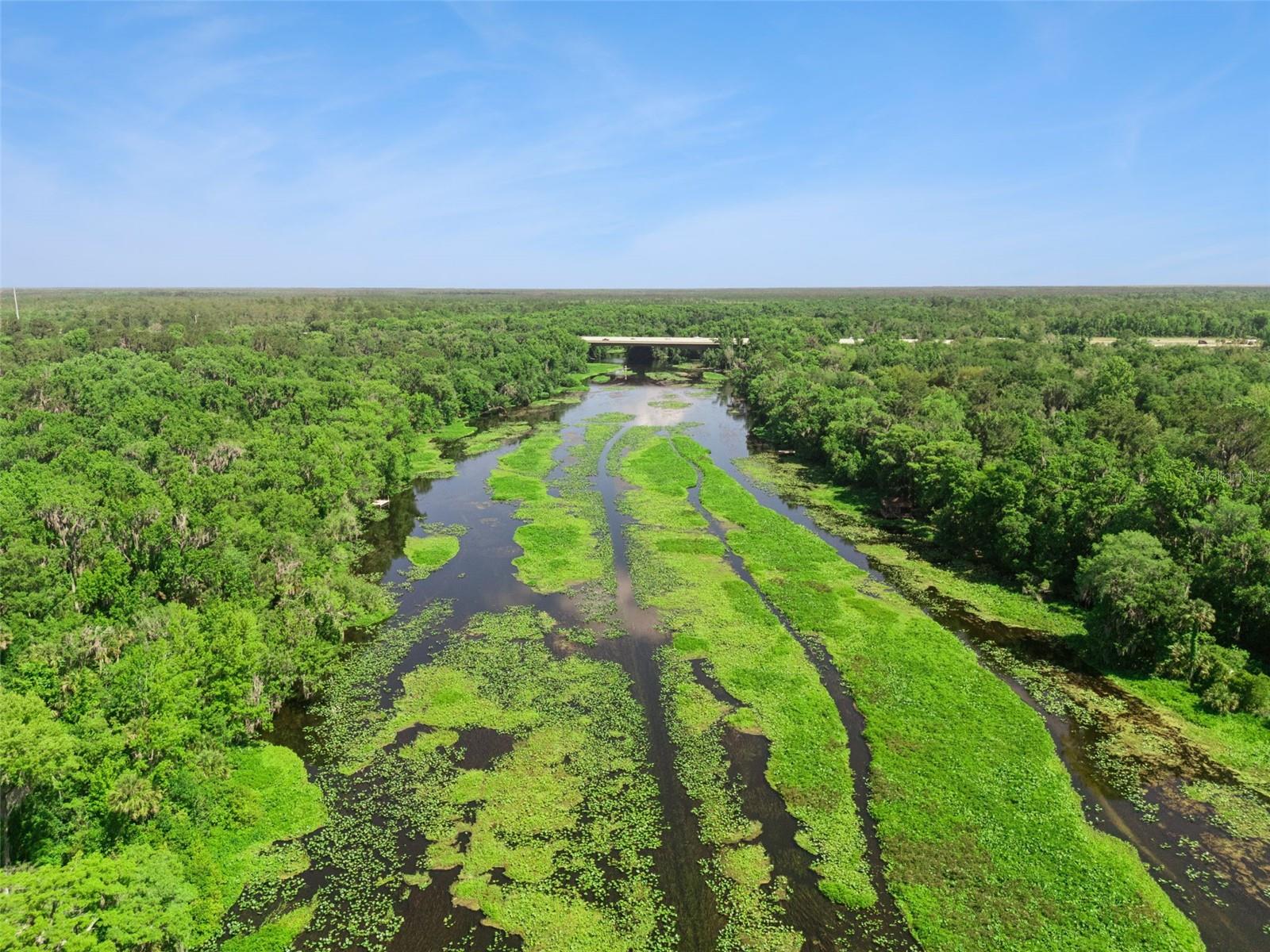 BRONSON RD, SORRENTO, FL — photo 15