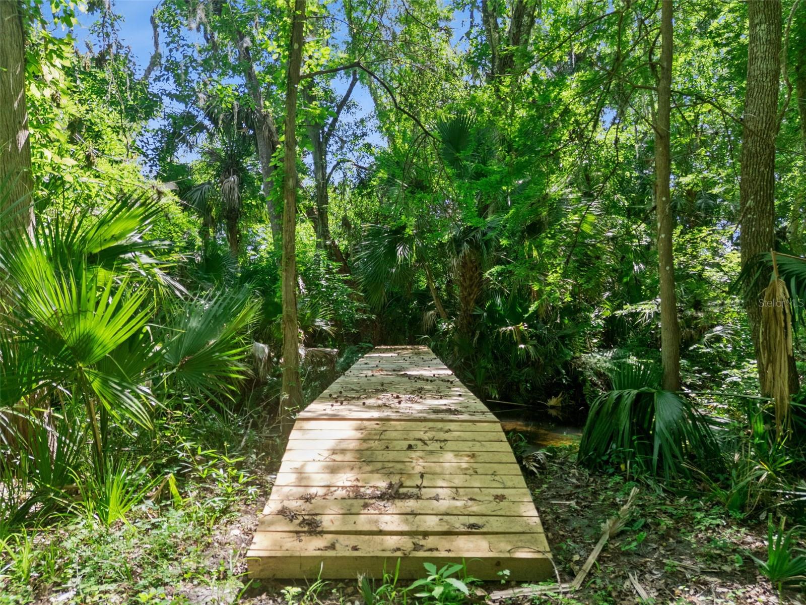 BRONSON RD, SORRENTO, FL — photo 36