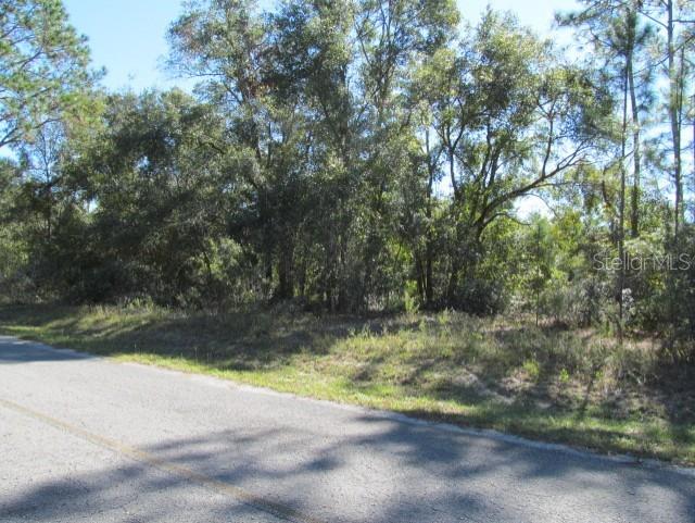 00 SE 169TH CT, OCKLAWAHA, FL