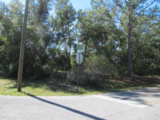 00 SE 169TH CT, OCKLAWAHA, FL — photo 2