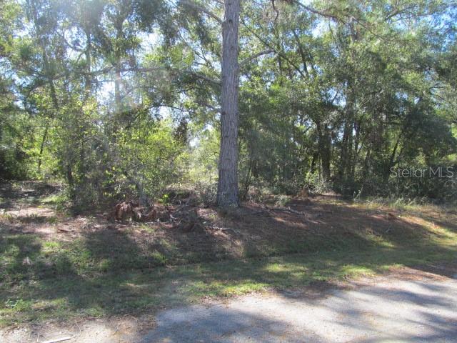 00 SE 169TH CT, OCKLAWAHA, FL — photo 3