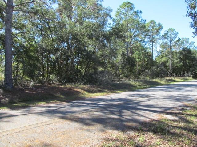 00 SE 169TH CT, OCKLAWAHA, FL — photo 4