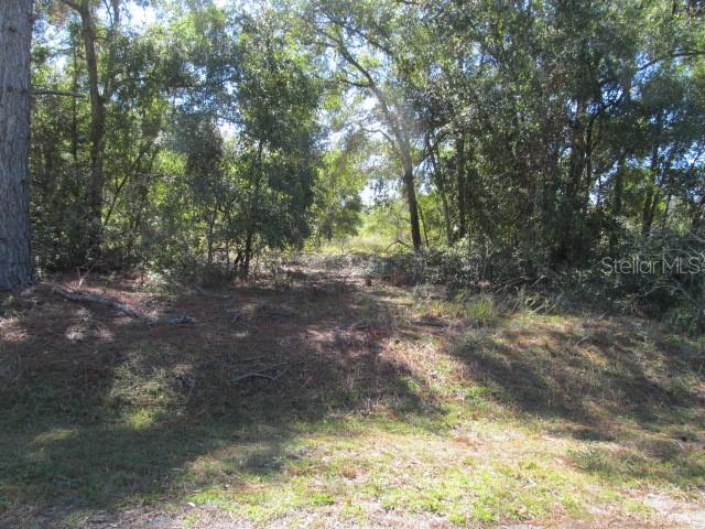 00 SE 169TH CT, OCKLAWAHA, FL — photo 5