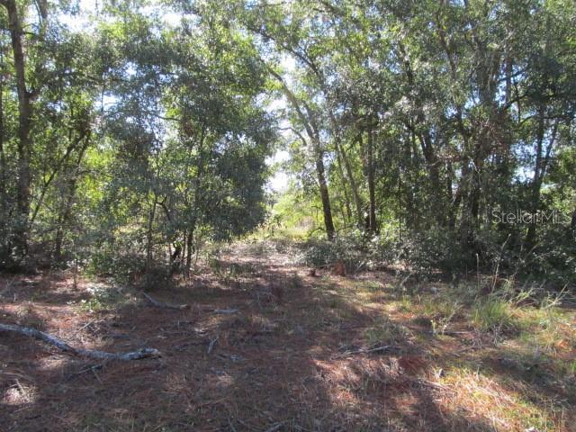 00 SE 169TH CT, OCKLAWAHA, FL — photo 6