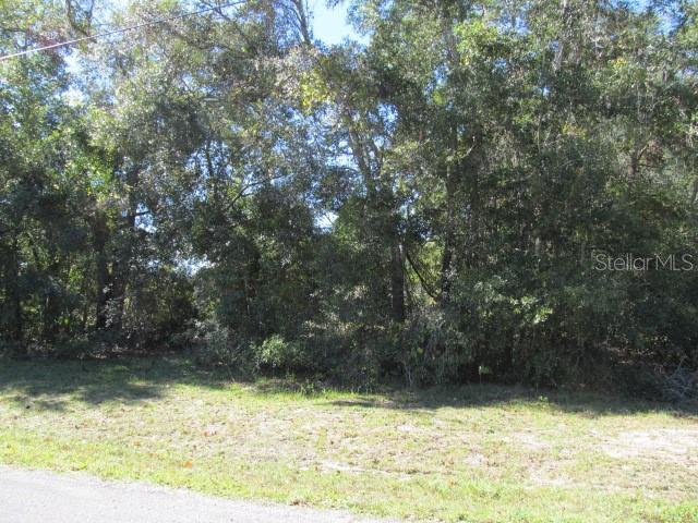 00 SE 169TH CT, OCKLAWAHA, FL — photo 8