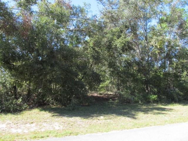 00 SE 169TH CT, OCKLAWAHA, FL — photo 9