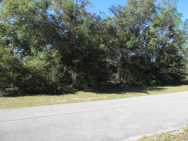 00 SE 169TH CT, OCKLAWAHA, FL — photo 10