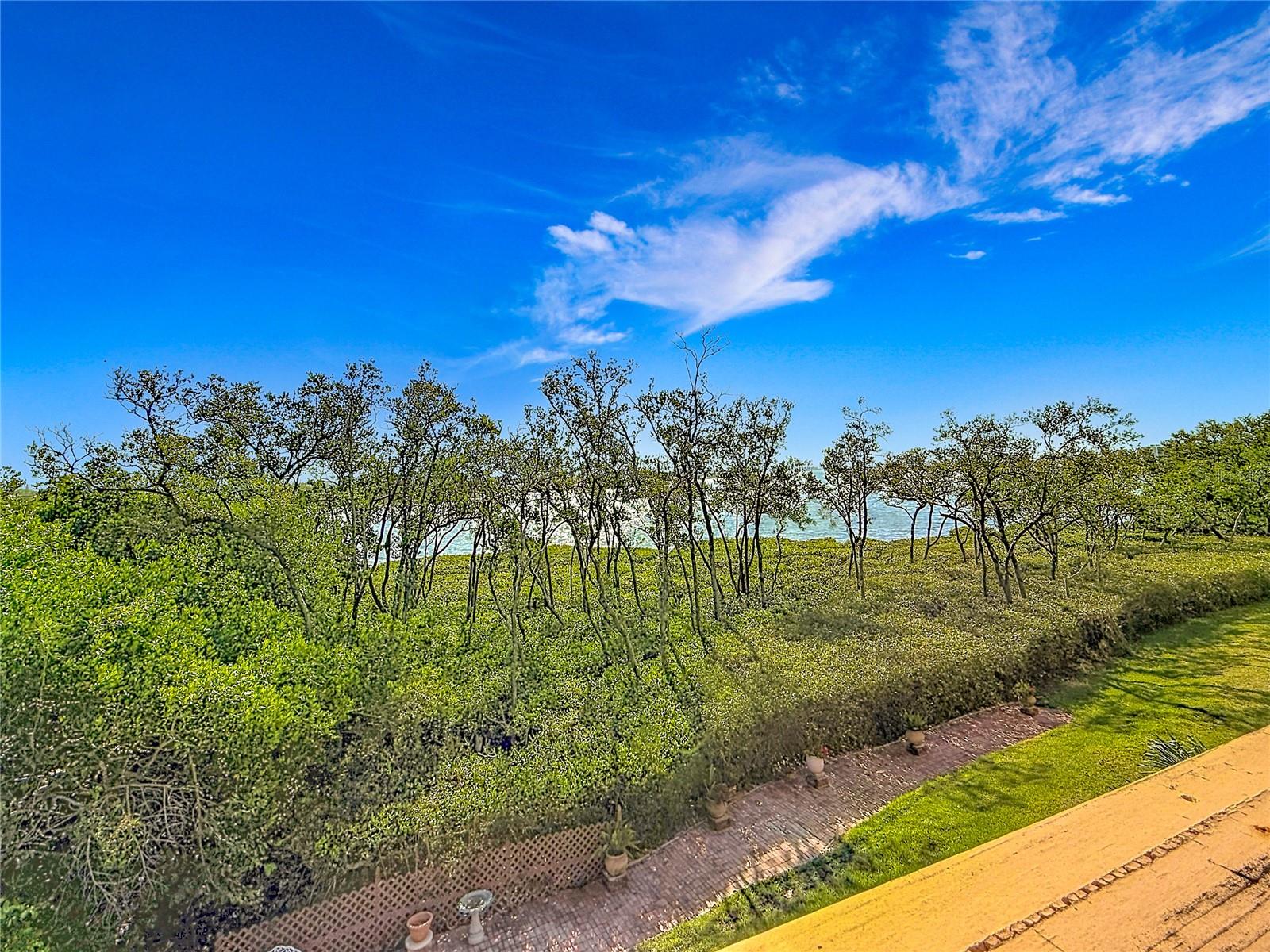 1710 LIGHTHOUSE TER S #1, SOUTH PASADENA, FL — photo 28