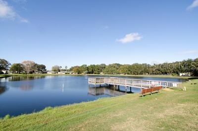 34124 ESTATES LN, WESLEY CHAPEL, FL — photo 30
