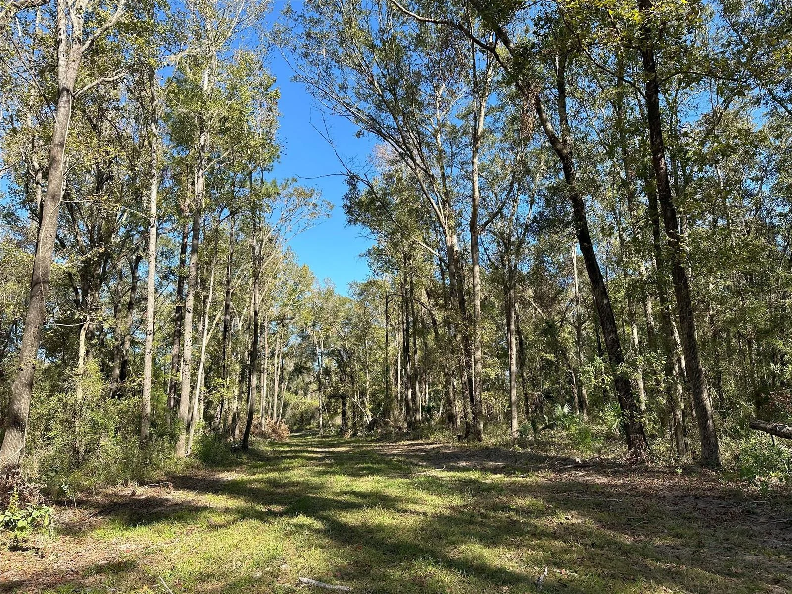 55ac W HWY 318, REDDICK, FL — photo 1