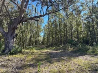 55ac W HWY 318 — photo 4
