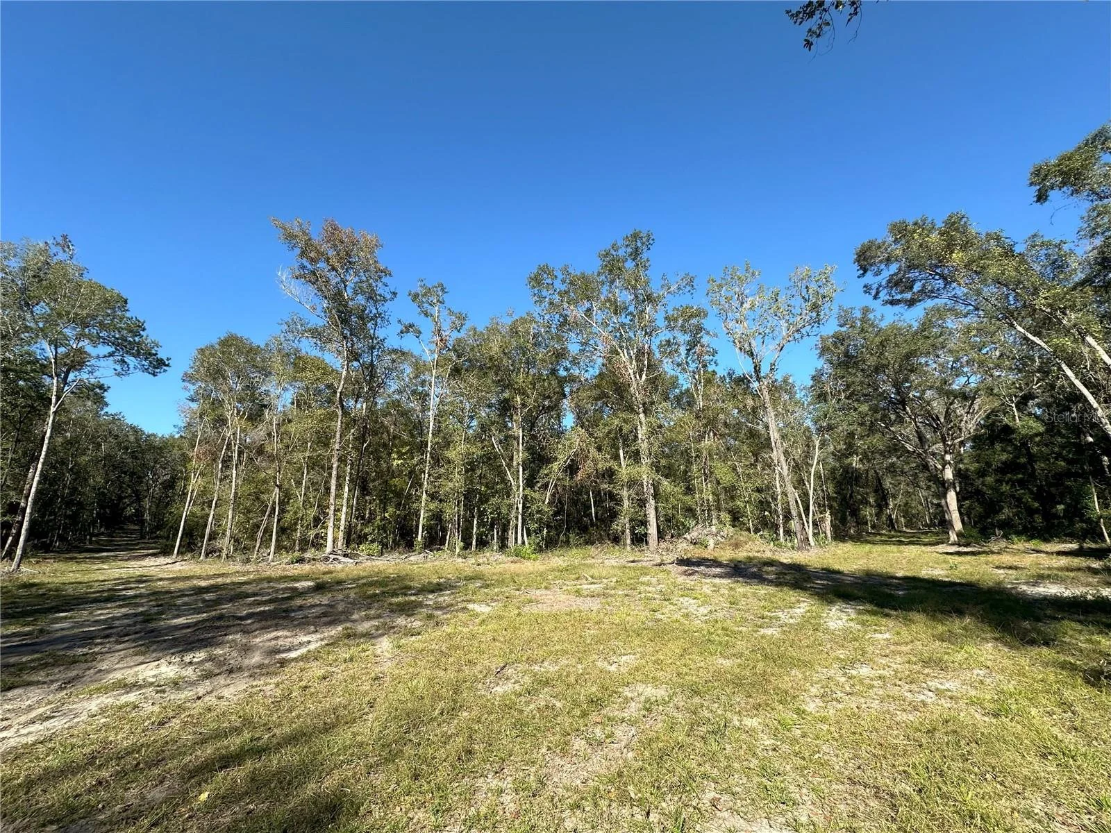 55ac W HWY 318, REDDICK, FL — photo 5