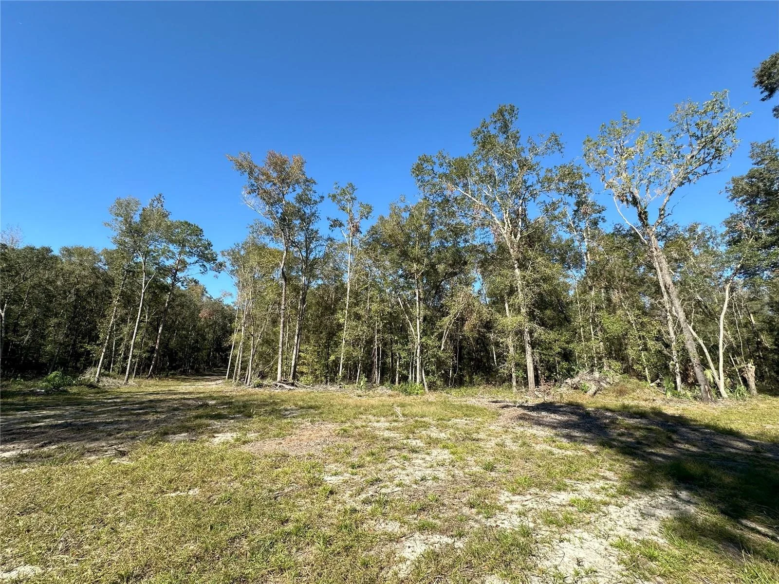 55ac W HWY 318, REDDICK, FL — photo 6