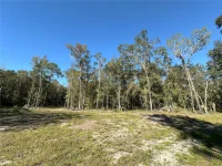 55ac W HWY 318 — photo 6