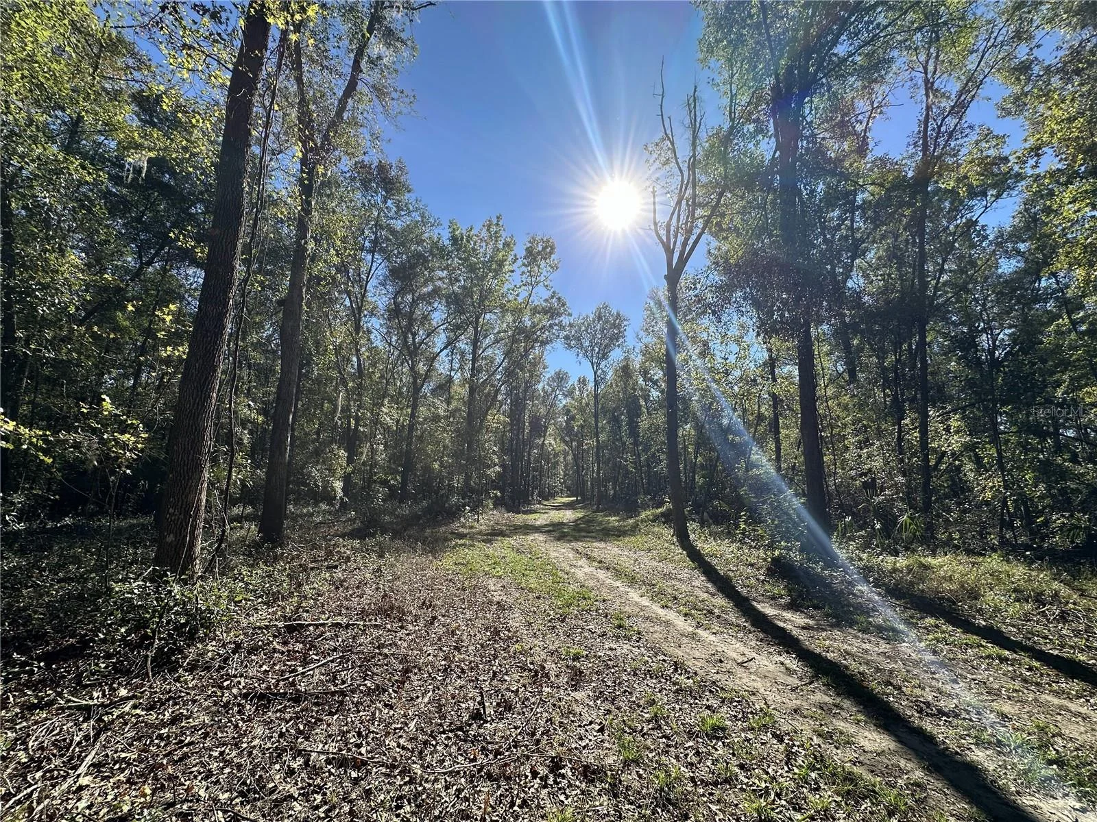 55ac W HWY 318, REDDICK, FL — photo 7
