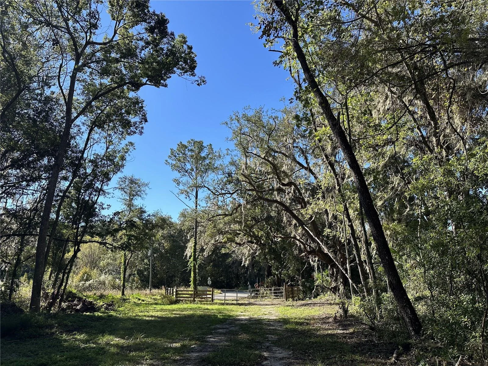 55ac W HWY 318, REDDICK, FL — photo 9