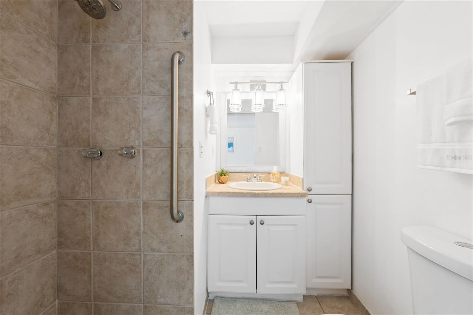 3918 W FIG ST, TAMPA, FL — photo 19