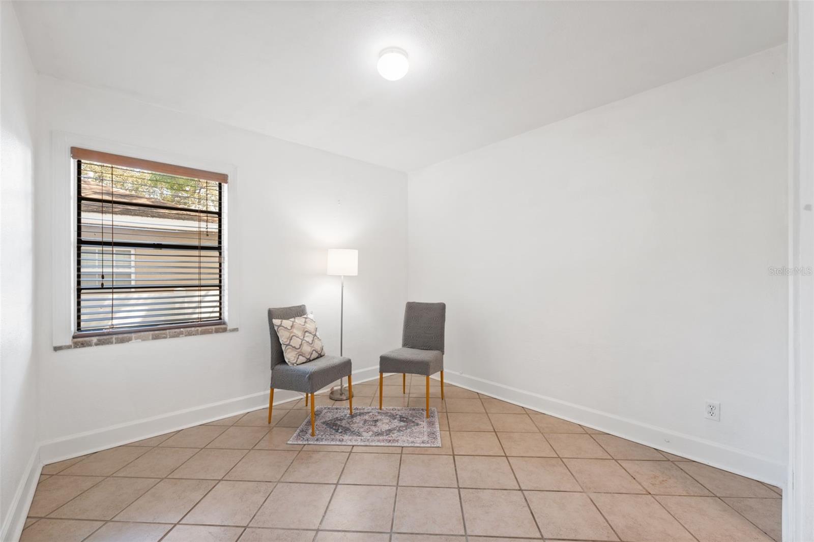 3918 W FIG ST, TAMPA, FL — photo 23
