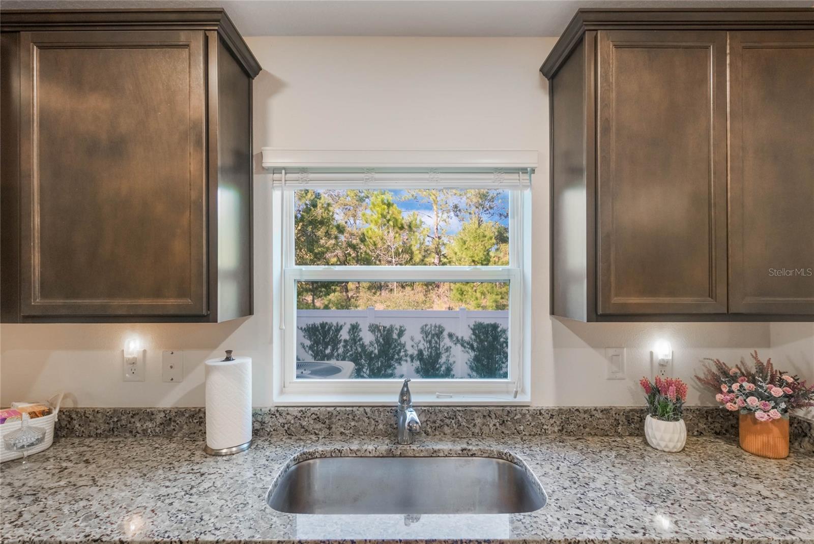 1592 WYNFORD CIR, TAVARES, FL — photo 30