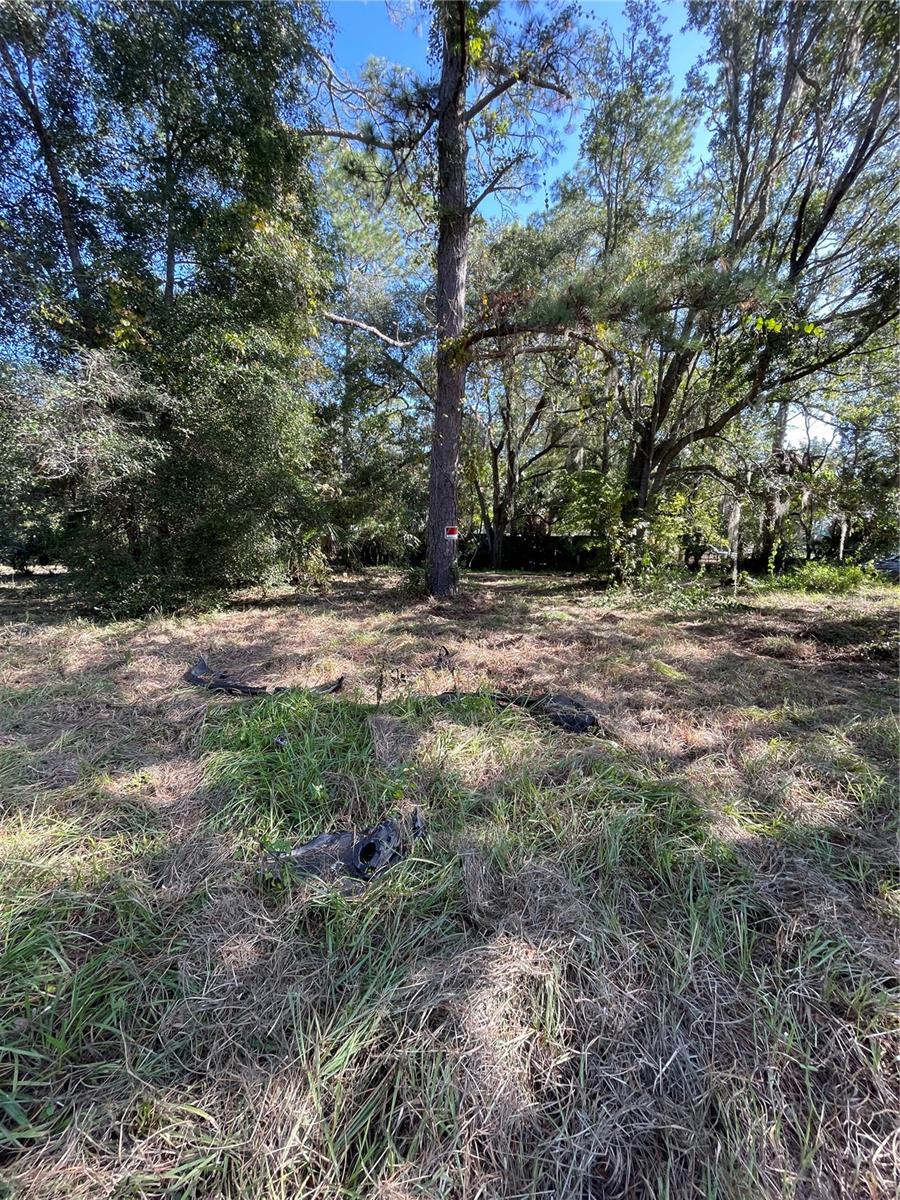 2330 E UNIVERSITY AVE, GAINESVILLE, FL — photo 4