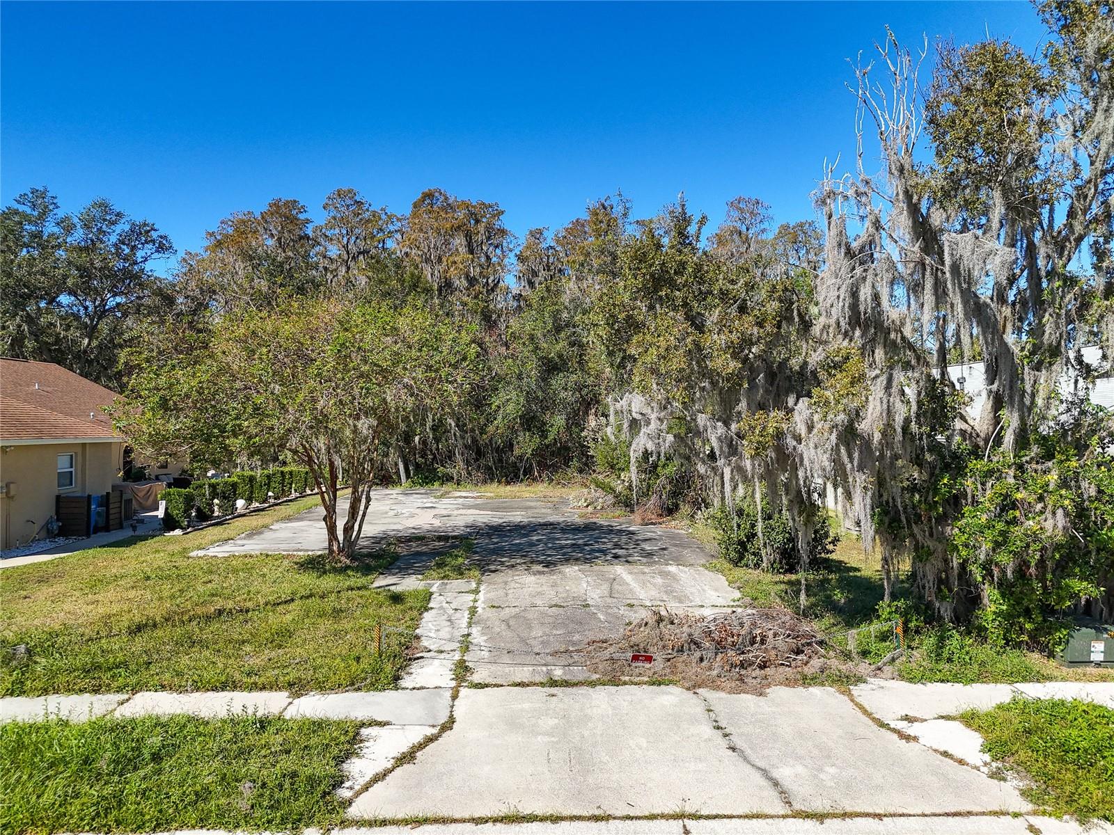 1323 BAYTHORN DR, WESLEY CHAPEL, FL — photo 3