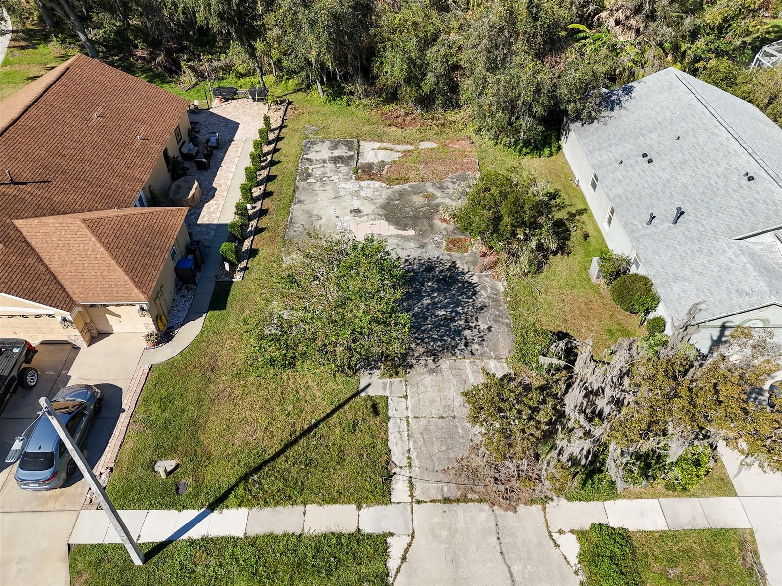 1323 BAYTHORN DR, WESLEY CHAPEL, FL — photo 4