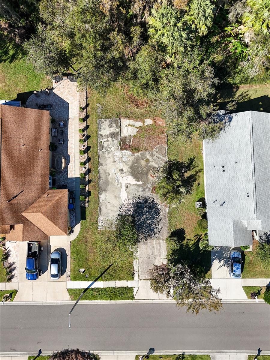 1323 BAYTHORN DR, WESLEY CHAPEL, FL — photo 8