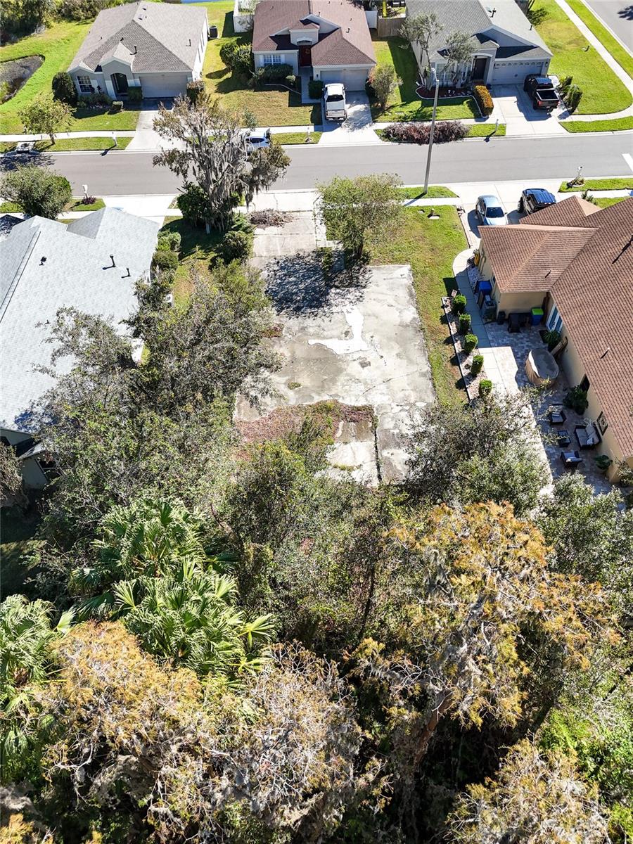 1323 BAYTHORN DR, WESLEY CHAPEL, FL — photo 10