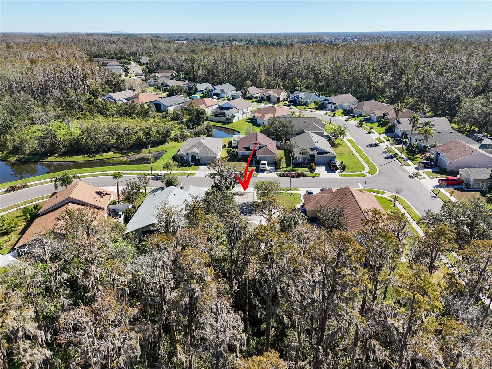 1323 BAYTHORN DR, WESLEY CHAPEL, FL — photo 11