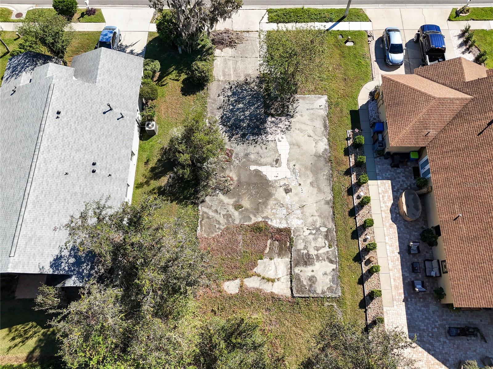 1323 BAYTHORN DR, WESLEY CHAPEL, FL — photo 13