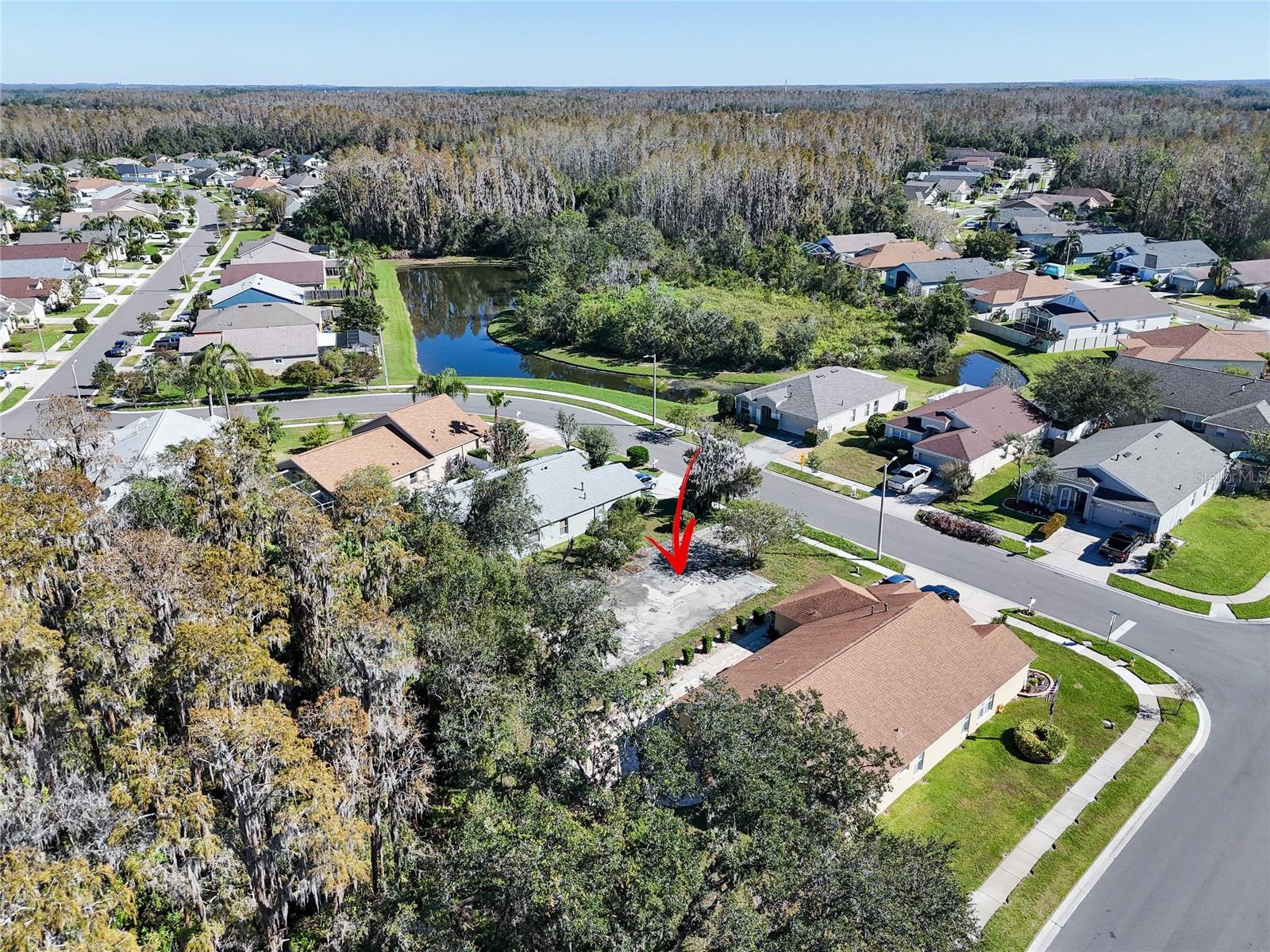 1323 BAYTHORN DR, WESLEY CHAPEL, FL — photo 14
