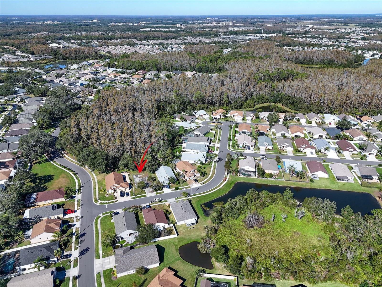 1323 BAYTHORN DR, WESLEY CHAPEL, FL — photo 15