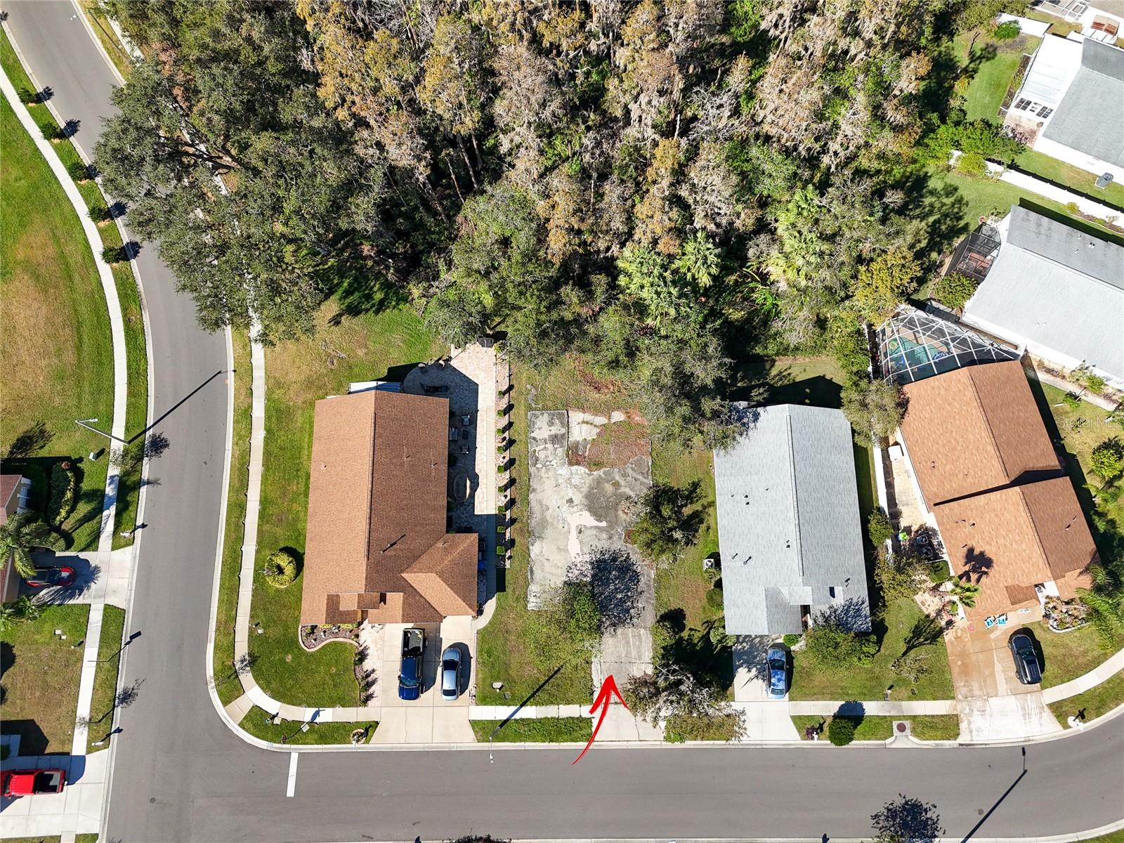 1323 BAYTHORN DR, WESLEY CHAPEL, FL — photo 16
