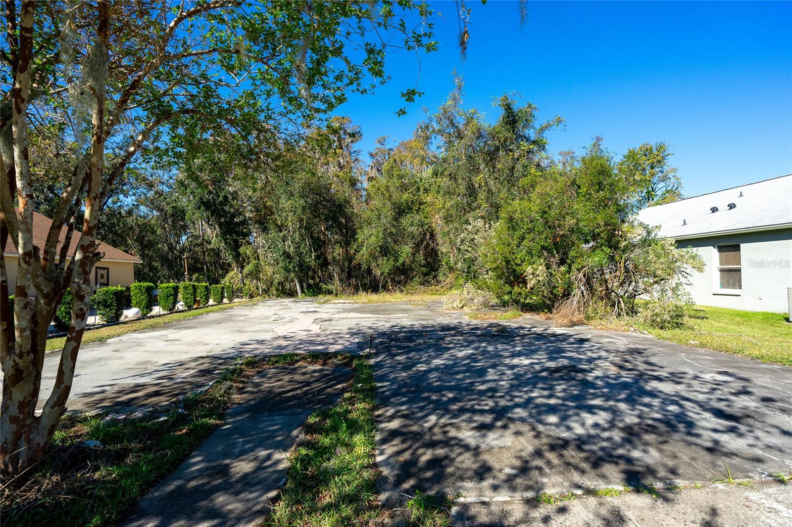 1323 BAYTHORN DR, WESLEY CHAPEL, FL — photo 19