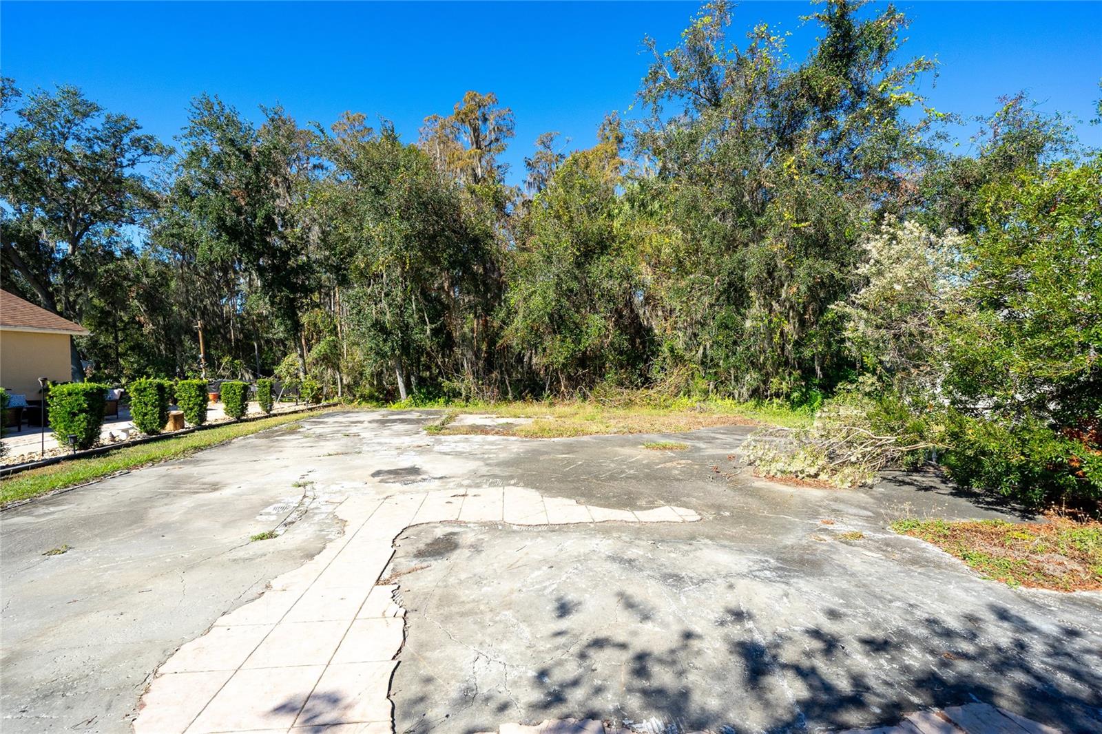 1323 BAYTHORN DR, WESLEY CHAPEL, FL — photo 20