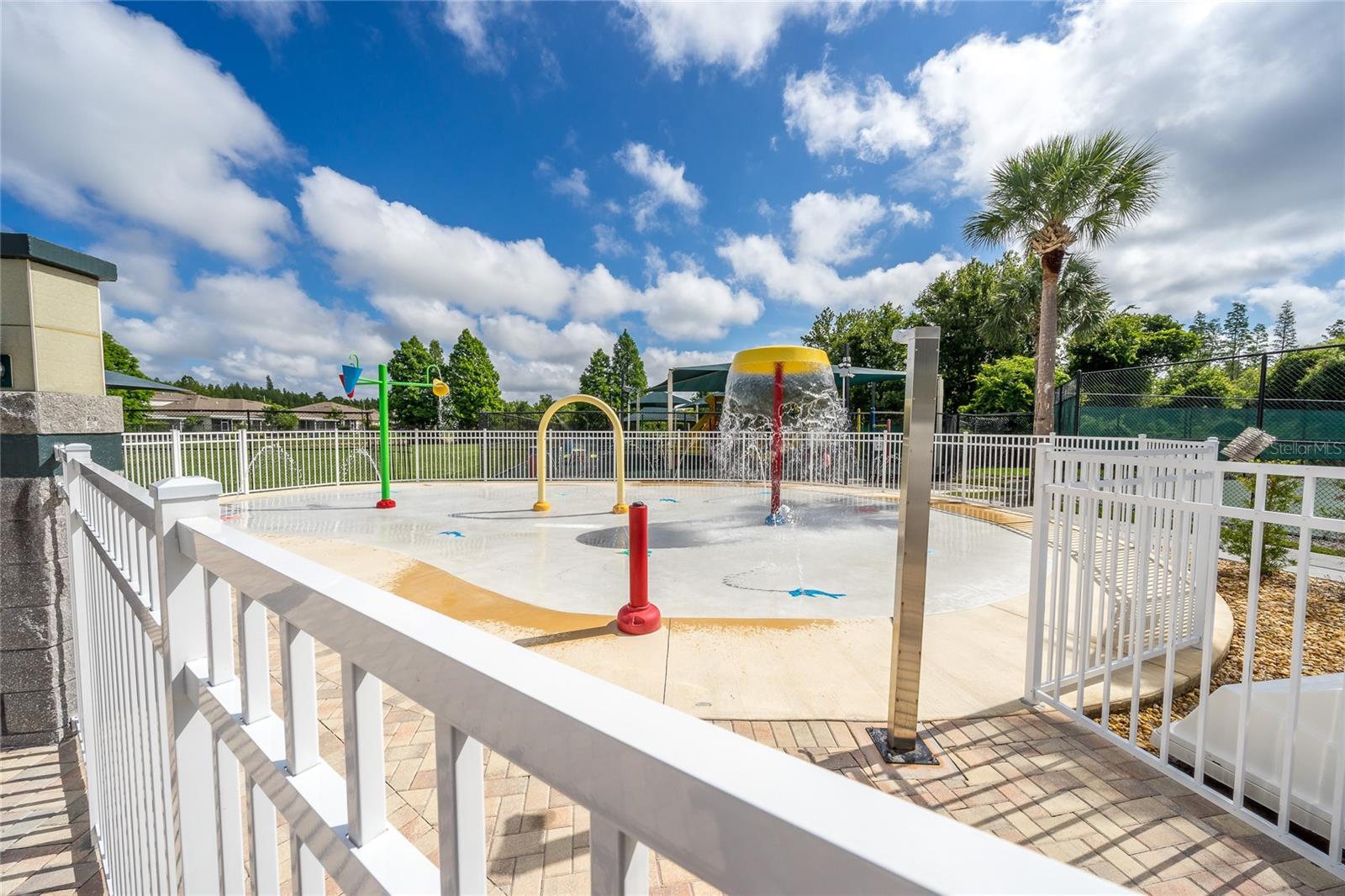 1323 BAYTHORN DR, WESLEY CHAPEL, FL — photo 26