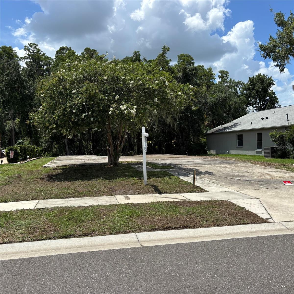 1323 BAYTHORN DR, WESLEY CHAPEL, FL
