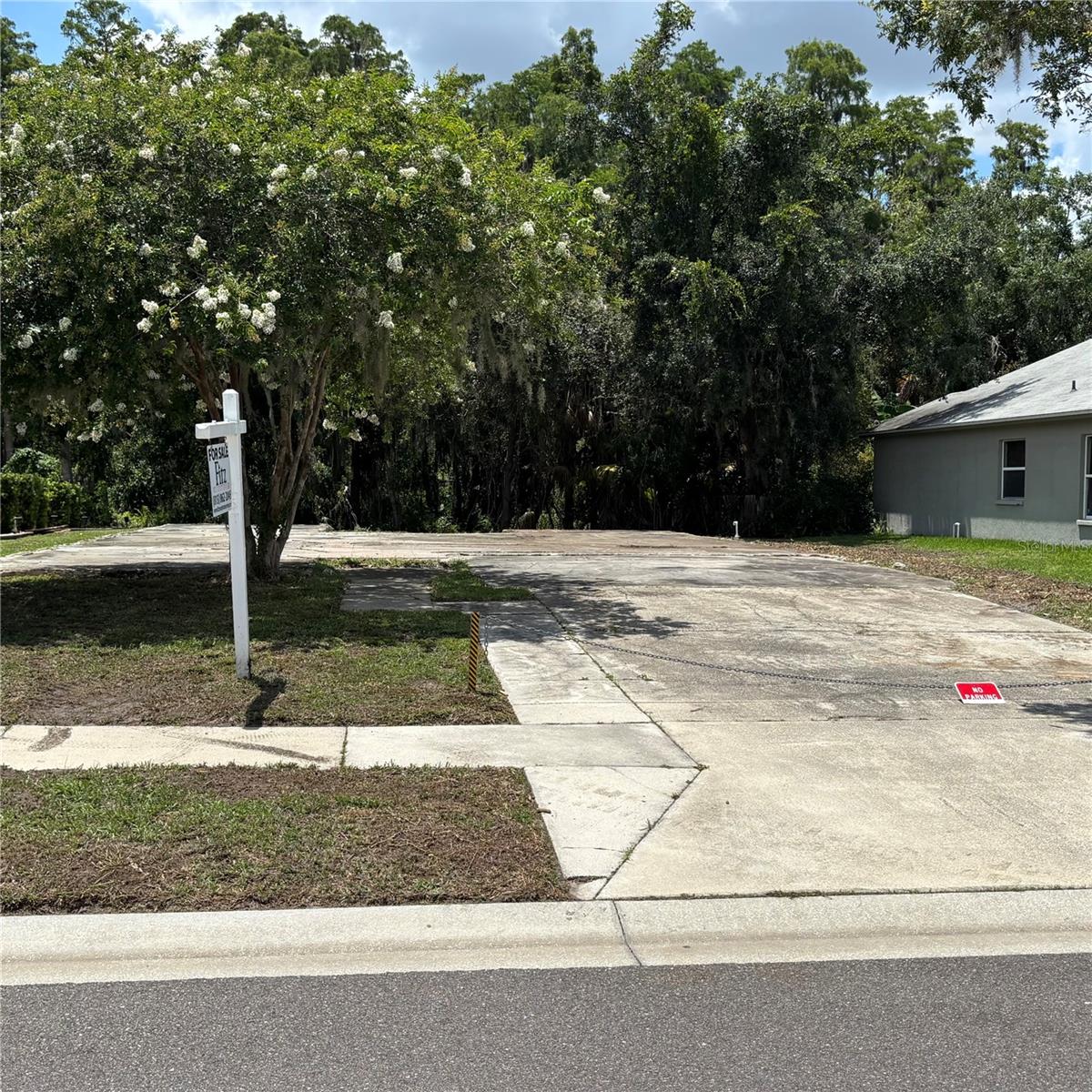 1323 BAYTHORN DR, WESLEY CHAPEL, FL — photo 34