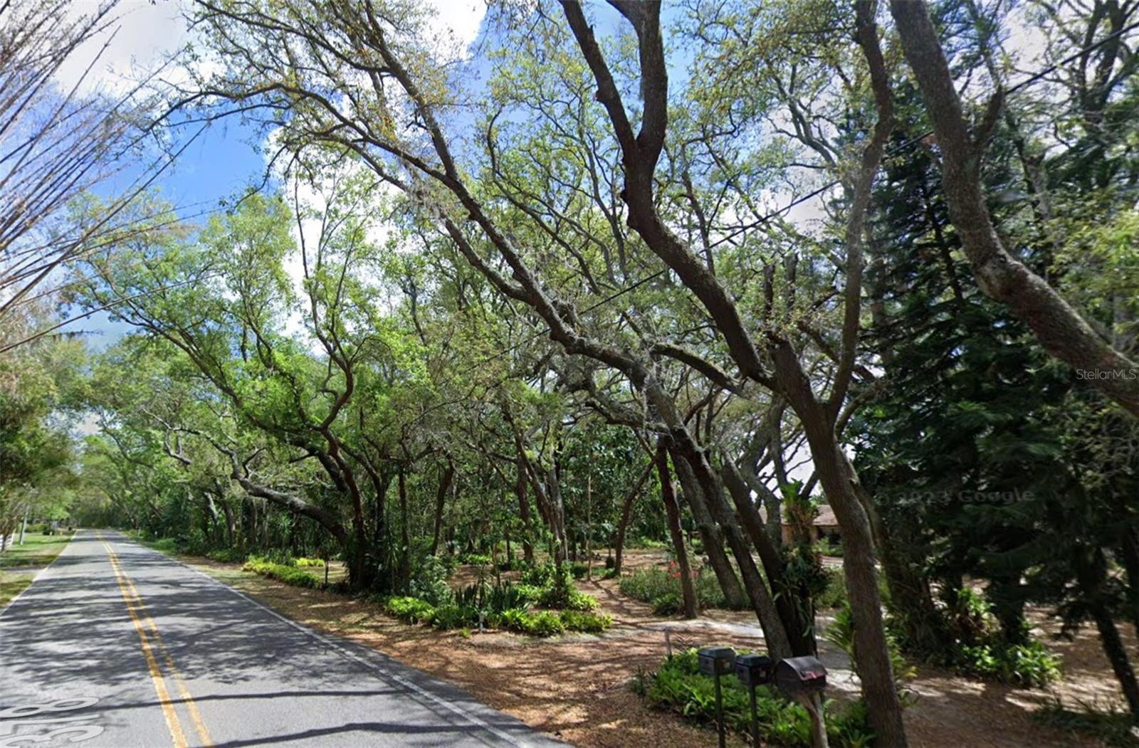 17144 PHIL C PETERS RD, WINTER GARDEN, FL — photo 9