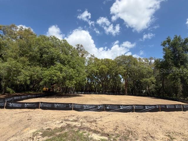 17144 PHIL C PETERS RD, WINTER GARDEN, FL