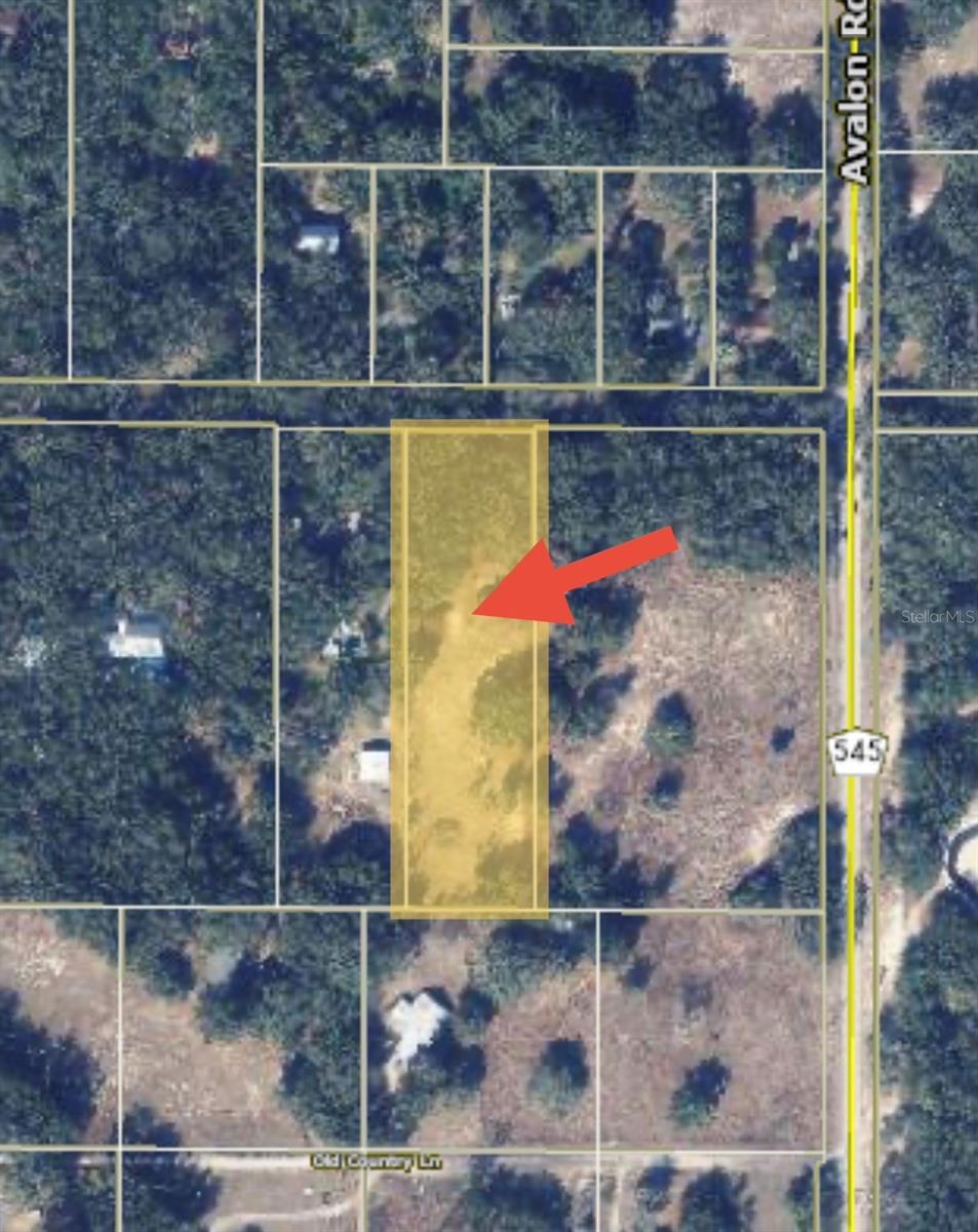17144 PHIL C PETERS RD, WINTER GARDEN, FL — photo 2