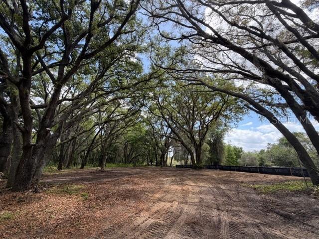 17144 PHIL C PETERS RD, WINTER GARDEN, FL — photo 5